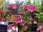 20191231_074627.jpg