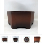 pot1.PNG