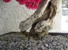 quick shots 010.jpg