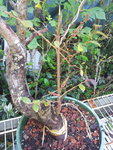 19700103_103254.jpg