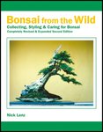 bonsai from the wild.jpg