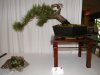 DSCF1542.jpg