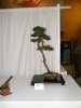 DSCF1547.jpg
