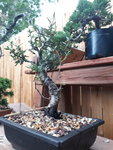 20200604_182828.jpg