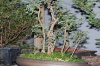 DSC_0004small.jpg