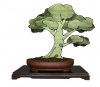 large boxwood.jpg