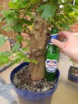 20200715_153046.jpg