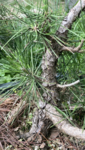 3F35EA3D-8179-455D-9E8F-FDBF46004093.png