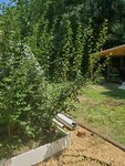 20200810_121812.jpg