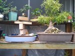 IMG_20200822_182542676.jpg