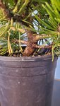 20200831_093951.jpg