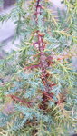 20200901_180412.jpg