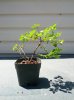 IMG_20130731_140716.jpg