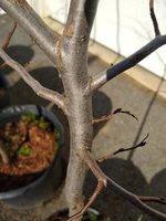 IMG_20201114_132211562.jpg