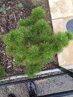20201121_153759.jpg