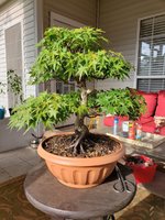 20200920_172027.jpg