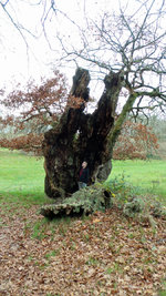 20201125_140514ed.jpg