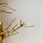 CE149167-BFA9-4264-AA1F-3F6BC474C4FB.jpeg