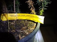 IMG_20210328_201201783.jpg