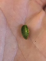 PXL_20210331_112016500.jpg