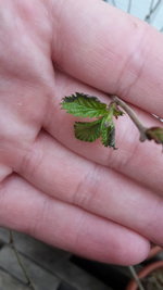 20210419_201234.jpg