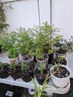 PXL_20210802_233738825.jpg
