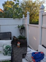 PXL_20210802_233827767.jpg