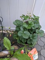 PXL_20210802_235521219.jpg
