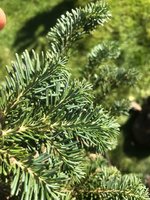 IMG_3361.jpg