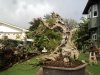 DSC06572.jpg