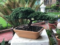 IMG_6254.jpeg