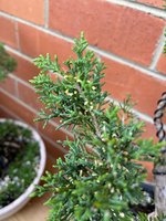 IMG_5032.jpg