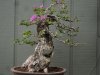 DSC06722.jpg