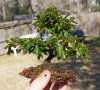 DSC05156-2.jpg