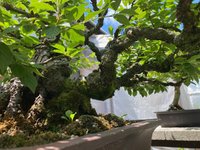 2021.07.17 IMG_0825.jpg