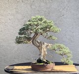 IMG_E4726.JPG