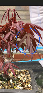 7F12529D-C005-497B-BCC0-A8DCE2C6C566.jpeg
