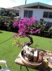 DSC06891.jpg