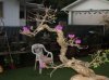 DSC06897.jpg