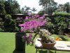 DSC06951.jpg