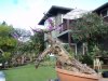 DSC06964.jpg