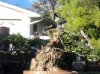 DSC06984.jpg