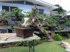 DSC01257.jpg
