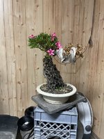 67E62C3A-804E-4EFE-A3B8-D23123809360.jpeg