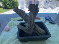 IMG_3983.jpg