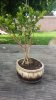 20140417_105438.jpg