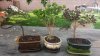 20140417_105520.jpg