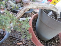 IMG_2967.JPG