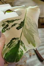 20220627_122338.jpg