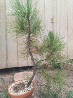 IMG_20220806_140148_738.jpg